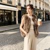 Новый осенне-зимний жилет из искусственного меха женский короткий жилет жилет имитация лисьего меха плюшевый жилет-куртка интернет-знаменитости