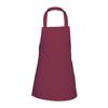 Link Kitchen Wear Childrens/Kids Barbecue Apron