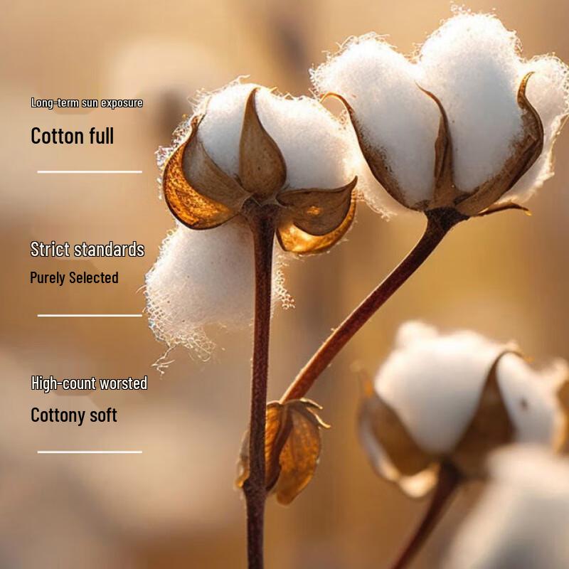 MUJI A-Class 100% Xinjiang Cotton Quilt
