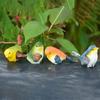 4pcs Micro Landscape Resin Birds Statue Cute Creative Animal Sculpture Simulated Colorful Miniatures Figurine Gift