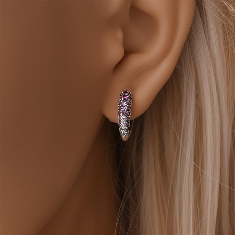 Silvery Heart Shape Earrings 925 Sterling Silver Women Zircon Ear Studs Sparkling Pave Hoop Earring Jewelry Gift