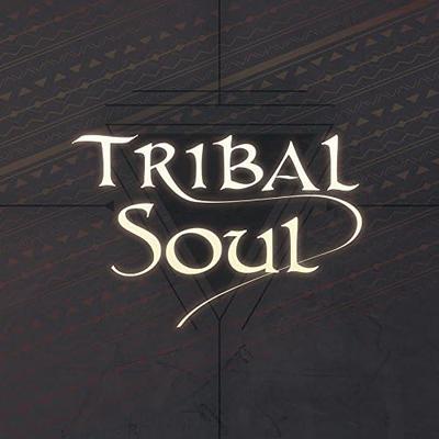 CD TRIBAL SOUL - TRIBAL SOUL NF004 Япония Оби Японский Поп/Рок Б/у
