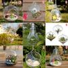 Hanging Transparent Ball Glass Flower Planter Vase Terrarium Landscape Container