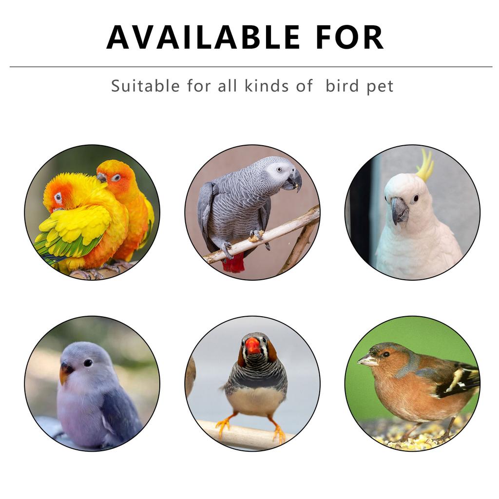 Портативная прозрачная клетка для транспортировки птиц-попугаев, вентилируемая сумка-переноска с окном, дышащая переноска для птиц, дорожная сумка