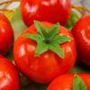 Lifelike Simulation Tomato Cute Fake Vegetables  Fruit Prop Teaching