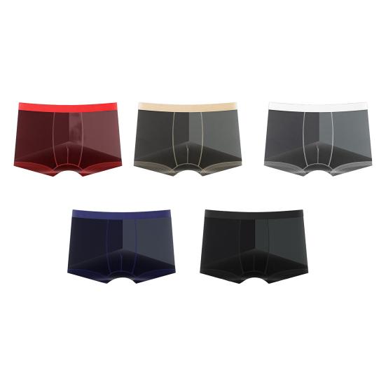 Men Boxer Underwear Mid-rise Elastic Waist Perspective Mesh Yarn Shorts