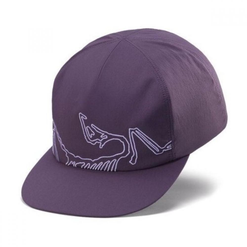 Arcteryx Silex CAp Grey A Le1221908566