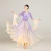 Classical Dance Suit Elegant And Fairy Gauze Practice Suit Chinese Dance Performance Women's Dress