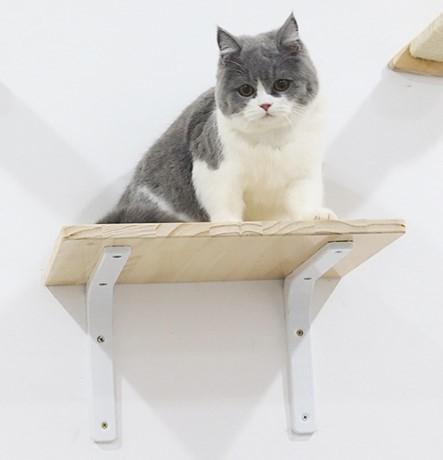 DIY Cat Hammock Wall Mounted Scratching Post Ladder House Space Capsule Toy Climbing Frame Canvas Bed