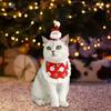 Festive Pet Christmas Costume Set for Small Cats and Dogs - Adorable Holiday Outfit with Hat Bib