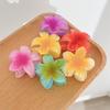 1/6Pcs Hawaiian Gradient Hair Clip Flower Hair Claws Women Small Size Fashion Headwear Hairpin Crab Barrette Hair Accessories 2025
