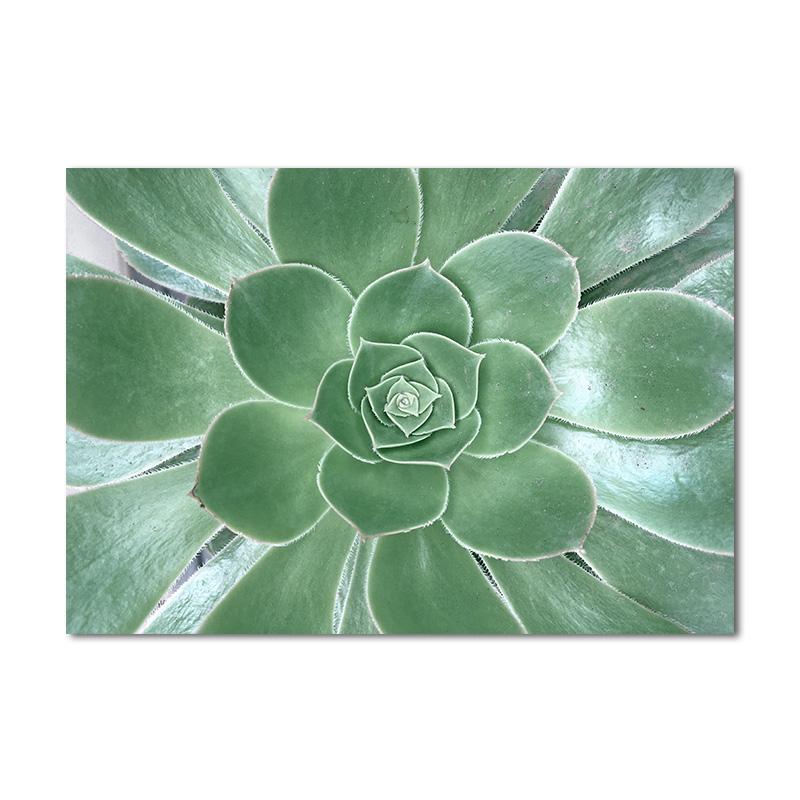 Скандинавские тропические растения, цветы, скандинавский постер, настенный художественный принт, зеленые листья, холст, картина для украшения гостиной, картина