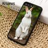 Чехол для телефона Заяц Кролик Ночное небо Луна Для iPhone 17 Air 16 15 14 plus 12 13 pro max coque Fundas
