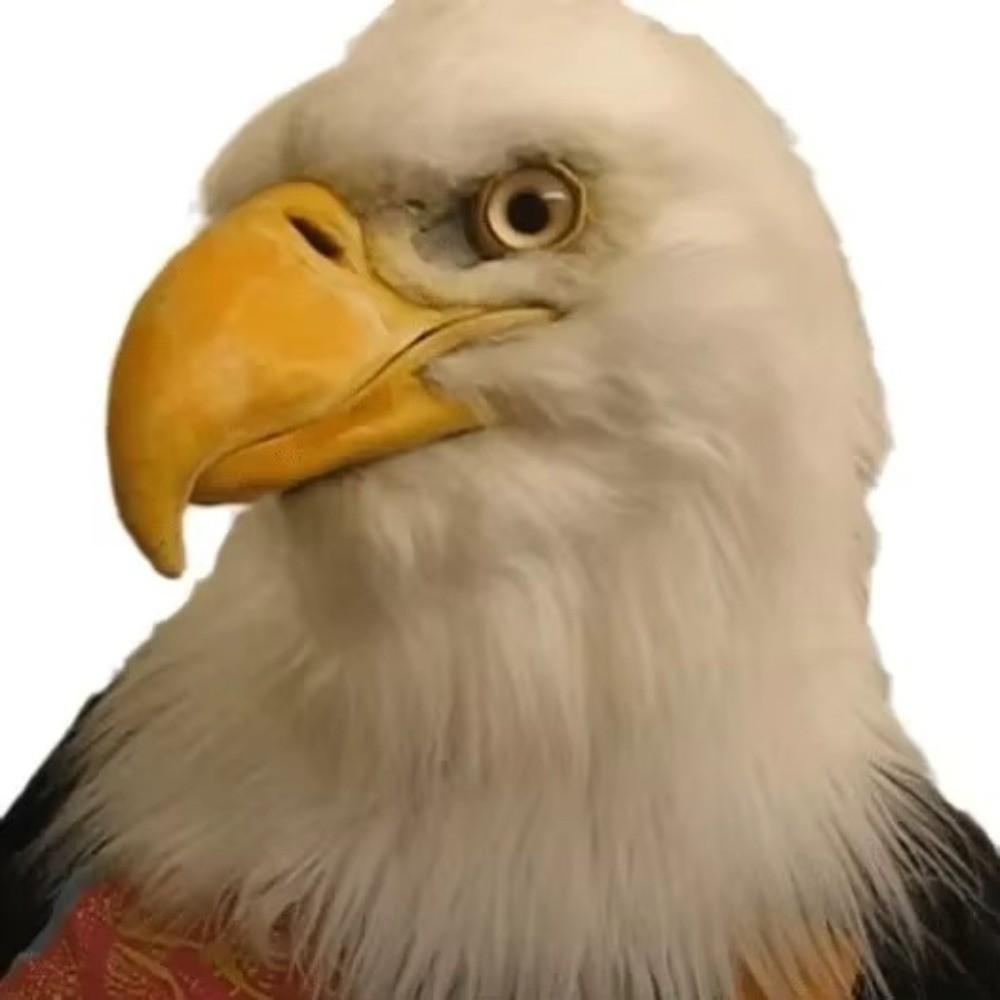 Carnival Party Eagle Mask Simulation Animal Halloween Hood Mask Wolf Mask  Party Makeup Ball