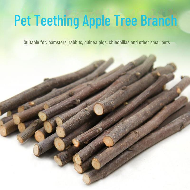 Eco-Friendly Teething Sticks for Small Pets - Apple Branch Treats In Ziplock Bag