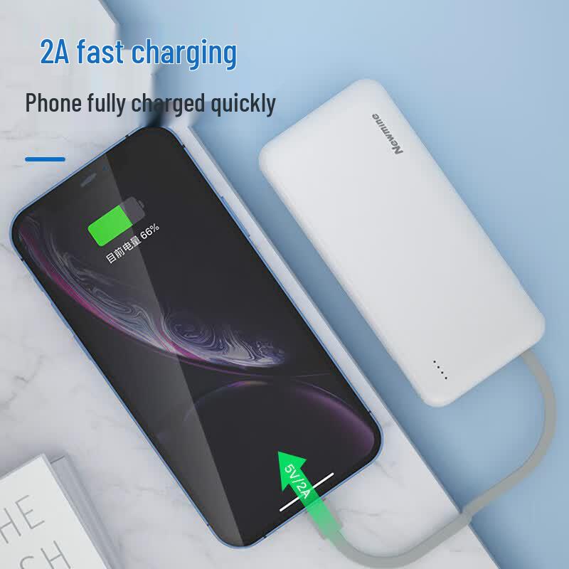 Power Bank Newmine AL22 на 10000 мАч со встроенными кабелями