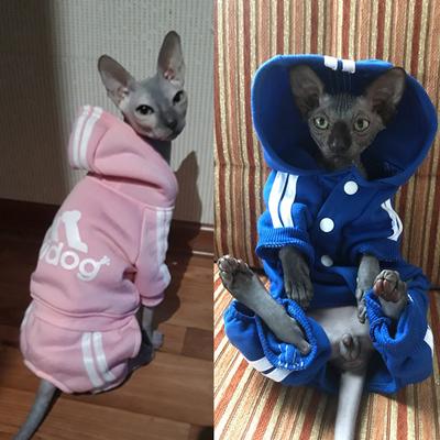Милый свитер с капюшоном для кошек, зимняя теплая одежда для домашних животных, одежда для кошек, сфинксов, котенков, одежда, Ropa Para gatos Kedi Giyim, товары для домашних животных
