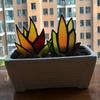 1pc Agave Plant Pot Plate Garden Insert Flower Fruit and Vegetable Mark Plate Bonsai Decoration