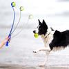 Pet Throwing Stick Dog Hand Throwing Ball Toys Tennis Ball Launcher Pole Outdoor Activities Dogs Training Toys Pet Supplies