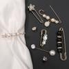 Fashion Pearl Rhinestones Brooch Pin Brooches For Women Sweater Shirt Lapel Pin Buckle Brooch Pins Set Clothes Accessories Gift