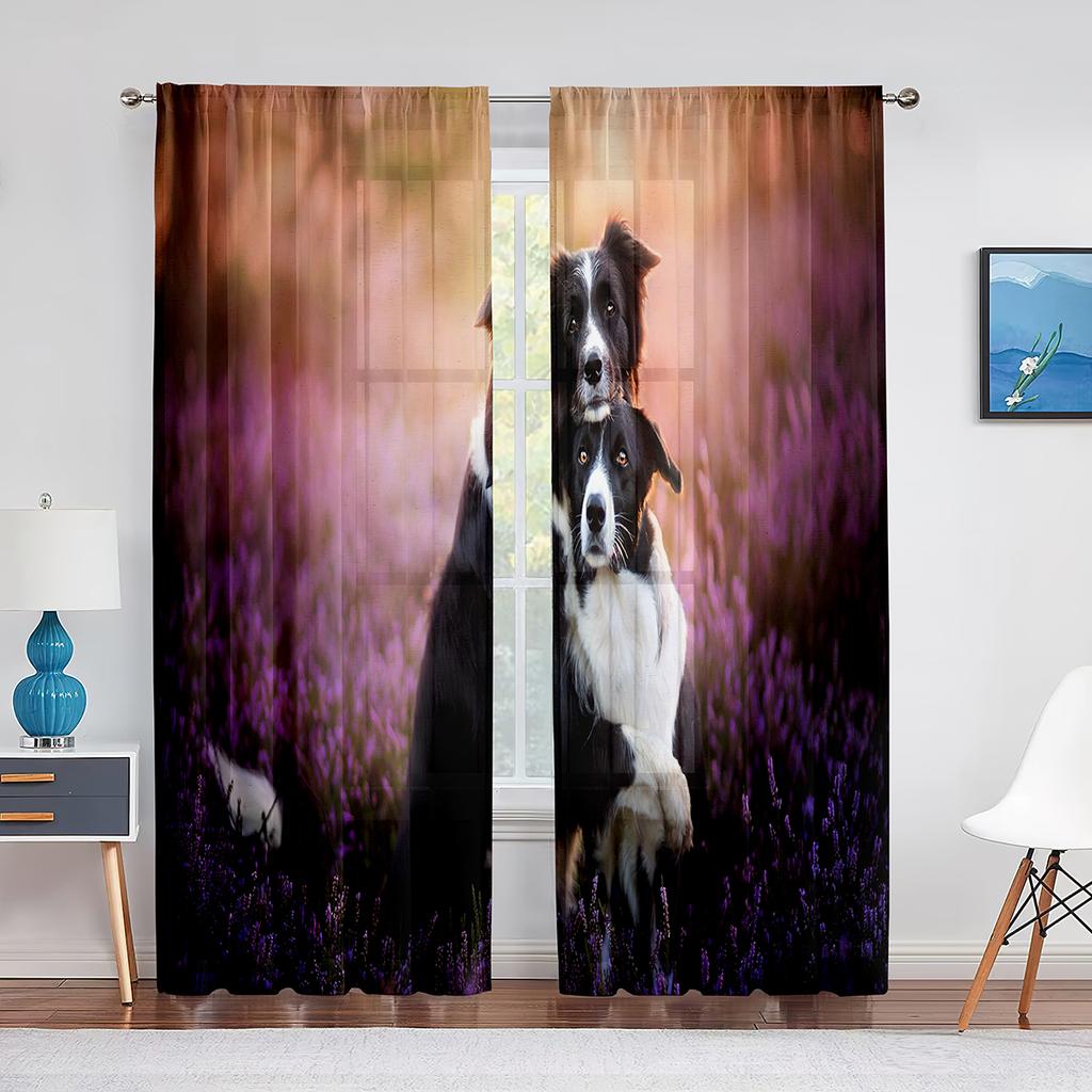 Тюлевые шторы с изображением собаки, австралийской овчарки, розовыми цветами для декора гостиной, спальни, прозрачные прозрачные занавески из вуали