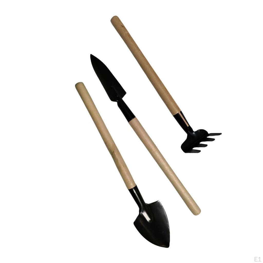 Small Watering Can for Indoor Plants, Long Spout with Sprinkler Head,