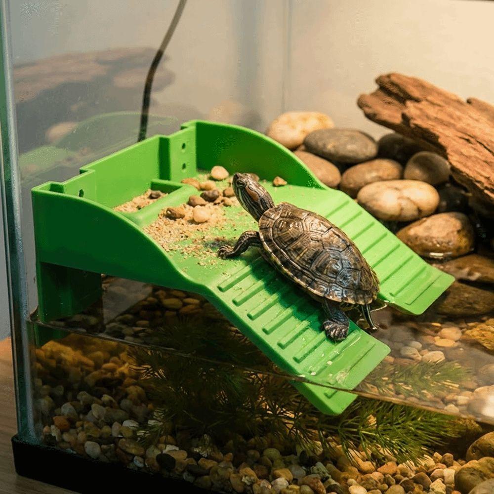 with Suction Cups Turtle Basking Platform Double Ladder Reptile Terrace  Aquatic Turtles