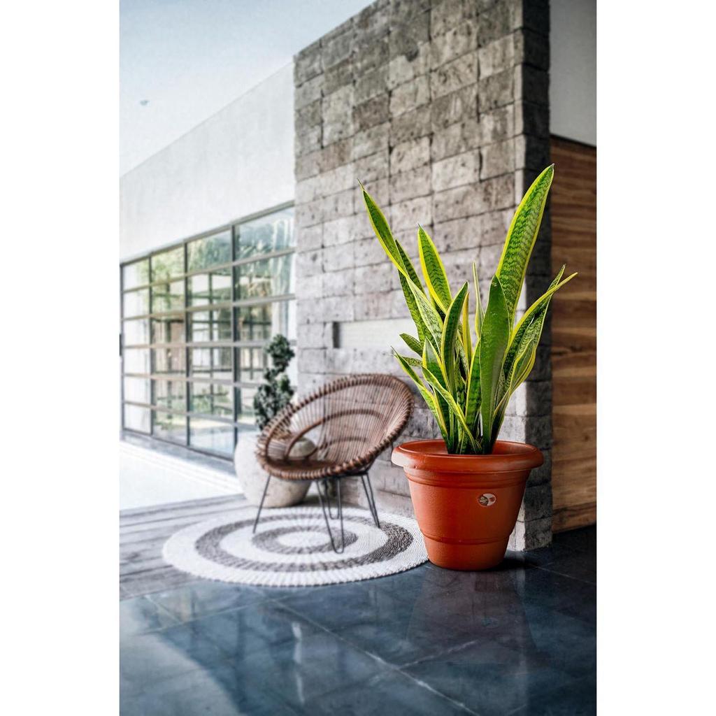 Круглые горшки для растений с поддоном | Современный дизайн | Комнатный и уличный цветочный горшок для украшения дома/офиса/стола/сада/балкона