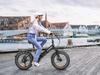 Electric Bicycle LOTDM200-II Folding Electric Bicycle 20 x 4.0-inch Thick Tire Mountain Electric Bicycle with 48V 13Ah Detachable Battery E-bike