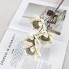Bauhinia Lotus Pod Bouquet: Natural Air-Dried Flowers for Zen Decor