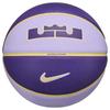 Nike All Court 2.0 Lebron James Basketball