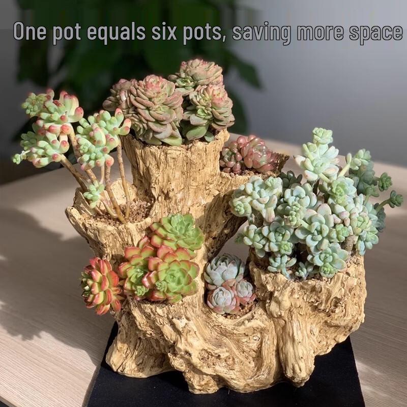 Maididuo Irregular Tree Root Design Succulent Pot with Base