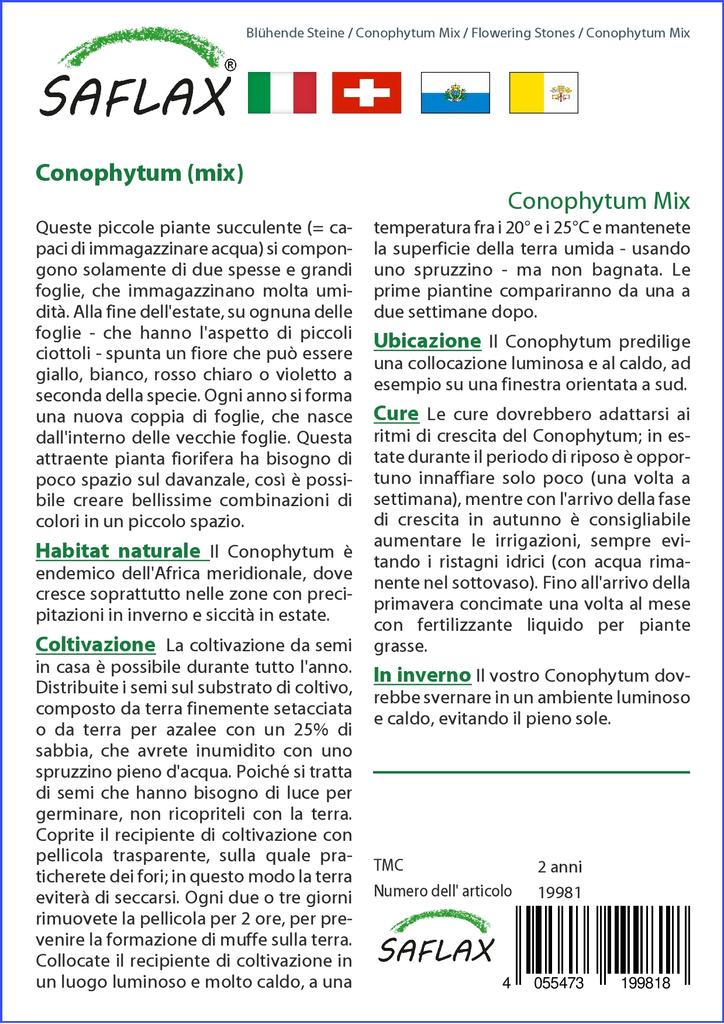 SAFLAX Garden in the Bag - Цветущие камни / Conophytum Mix - 40 семян - С субстратом в подходящем стоячем пакете - Conophytum Mix