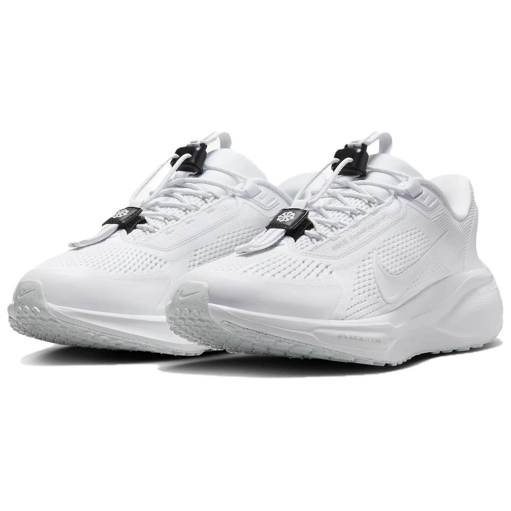 Nike Кроссовки женские Air Zoom Pegasus 41 EasyOn White Pure Platinum Dark-Smoke-Grey FQ7844-101