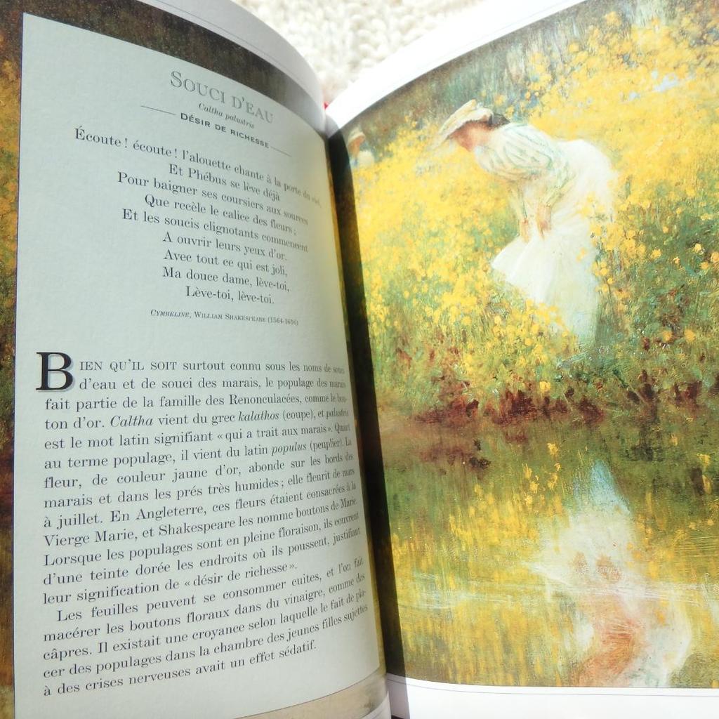 [Б/У] Язык Диких Цветов: Язык цветов на французском