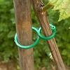 Gardening 8-figure Clip Garden Green Vine Fixation Clip Binding Device Garden Plant Stem Fixation Button