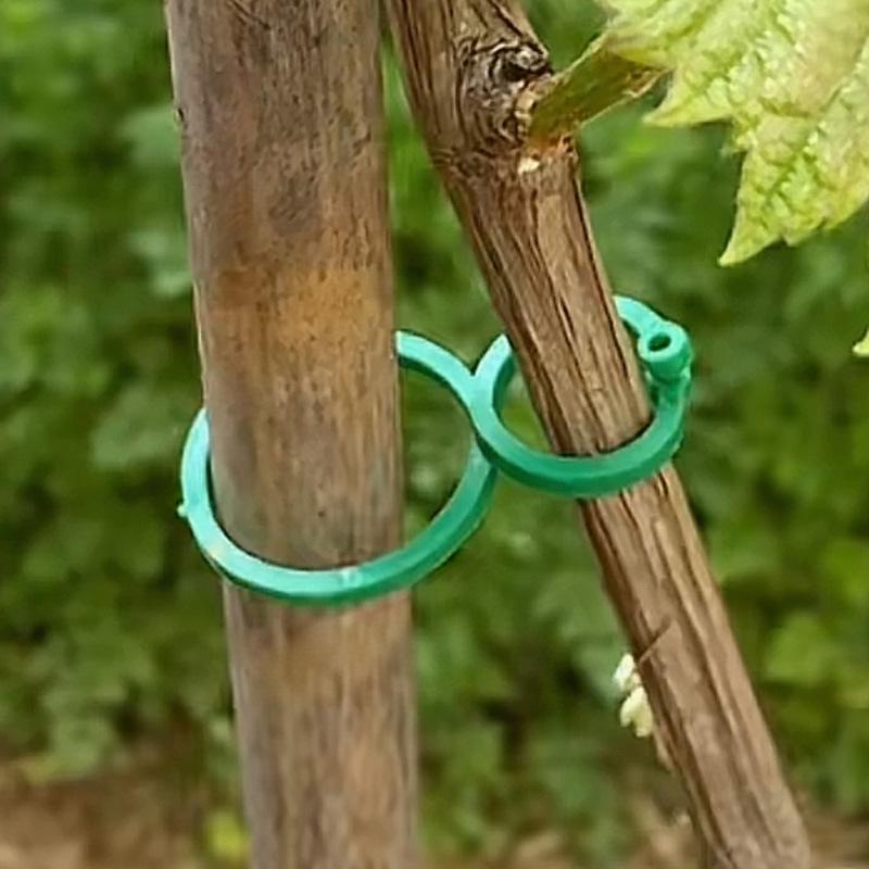 Gardening 8-figure Clip Garden Green Vine Fixation Clip Binding Device Garden Plant Stem Fixation Button