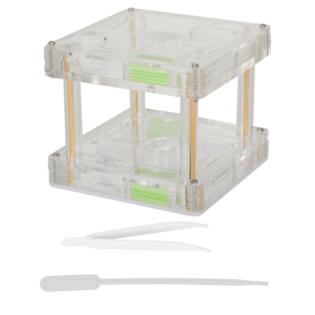 Acrylic Ant Nest Display Box Ant Nest House Hill Castle Villa Farm for Insect Educational