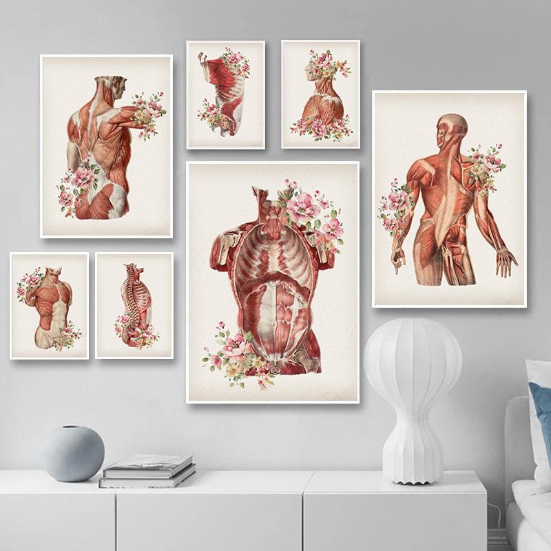Human Body Muscle Structure Wall Art Canvas Painting Retro Anatomy Medical Print Posters Education Picture Study Room Decoration