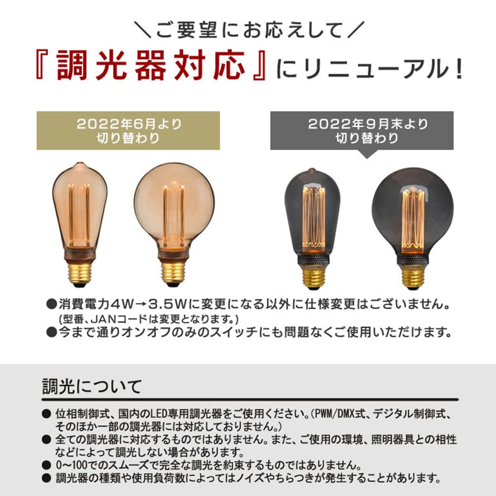 Nostalgia Edison LED Bulb, GLOBE, Gray, Clear Glass, Dimmable, Globe Shape, Warm White, 2200K, 10W Equivalent, G95 (Outer Diameter 95mm), 100lm, E26,