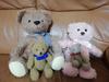 [USED] 4 Teddy Bears