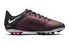 Nike Футбольные бутсы Tiempo Legend 9 Academy MG 'Бордовый Белый' GS DR6065-510