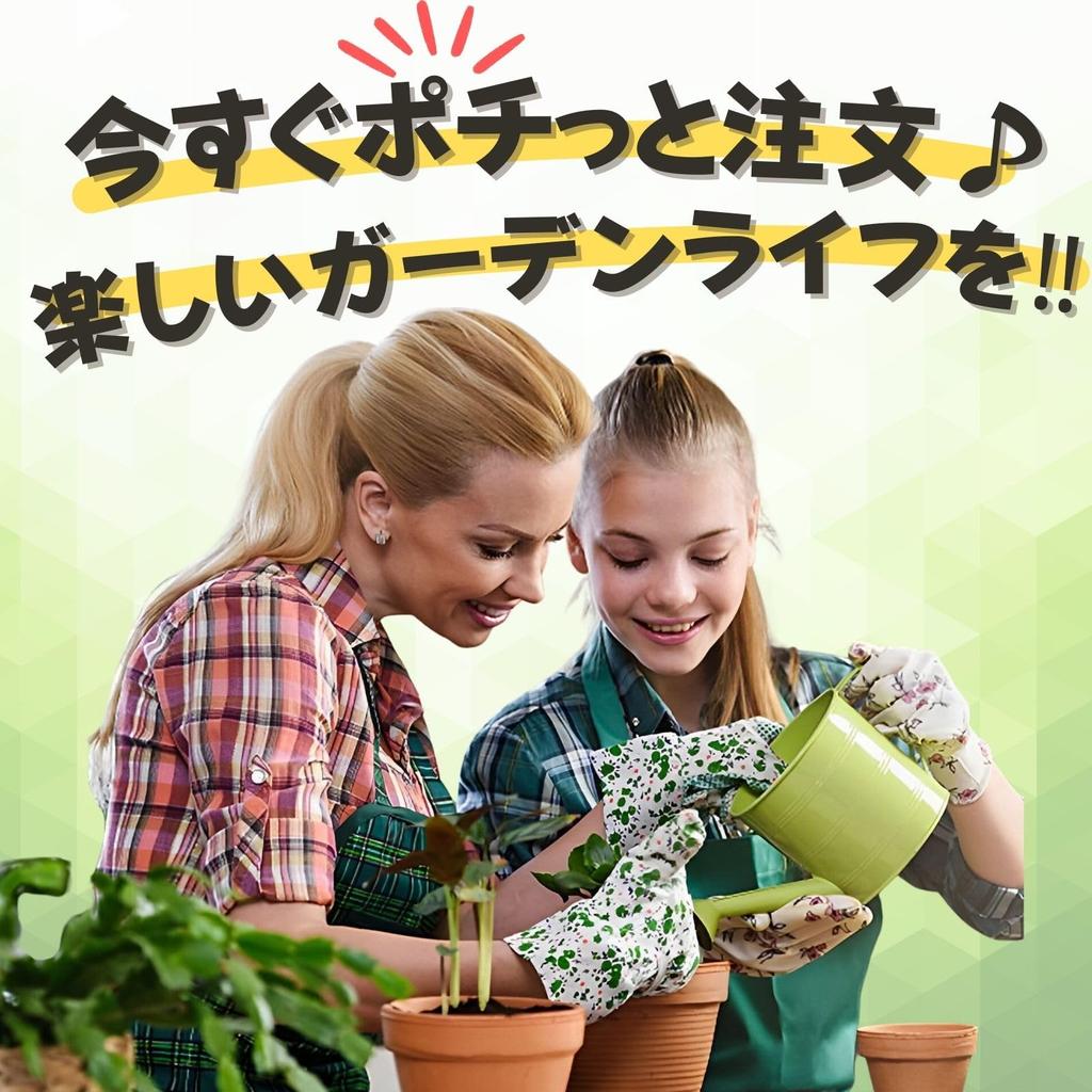 Leap Raupe Pot Bottom Net Piece Pot Bottom Small 2L [10-year-use (1 Included)] Pumice, Houseplant, Agave, Stone, Grain,