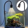 3W Mini Clip-on Aquarium Lamp Adjustable Zoom Adjustable Focus Spotlight  Home Decorations