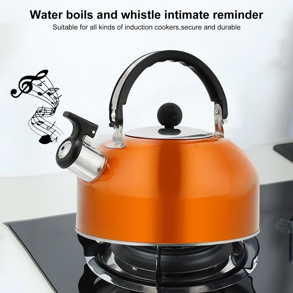 Чайник со свистком из нержавеющей стали для плиты с эргономичной ручкой Cool Grip