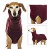 Apparel Greyhound Costumes Harness Vest Dog High Collar Sweater Pet Hoodie Coat Pitbull Coat Jacket