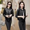 Женская 2024 Весенняя Модная Кожаная Куртка Высокого Класса - Короткая, Универсальная, Простой Стиль