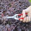Gardening Hand Pruner Garden Scissors Pruning Shears Micro-Tip Pruning Snips Plant Leaf Trimmer Straight Florist Scissor