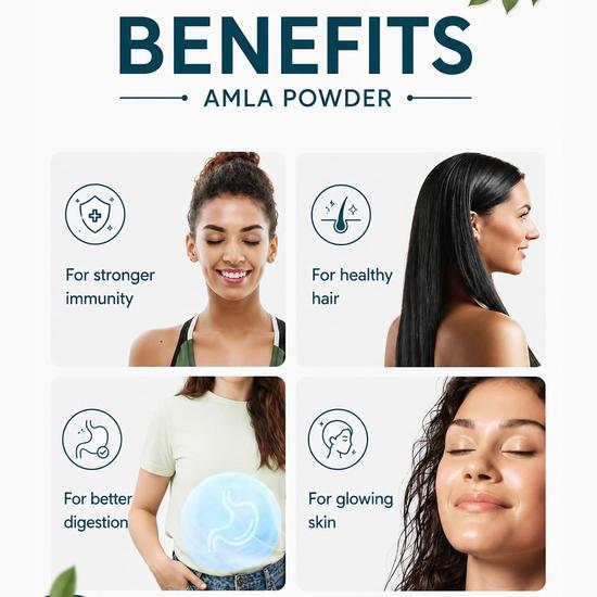 Birju Mahavir Amla Powder - Amalaki - Phyllanthus Emblica 100 Gr, Natural (BMKB-89)