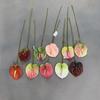 57CM Plastic Fake Single Stem Anthurium Artificial Flowers Artificial Anthurium